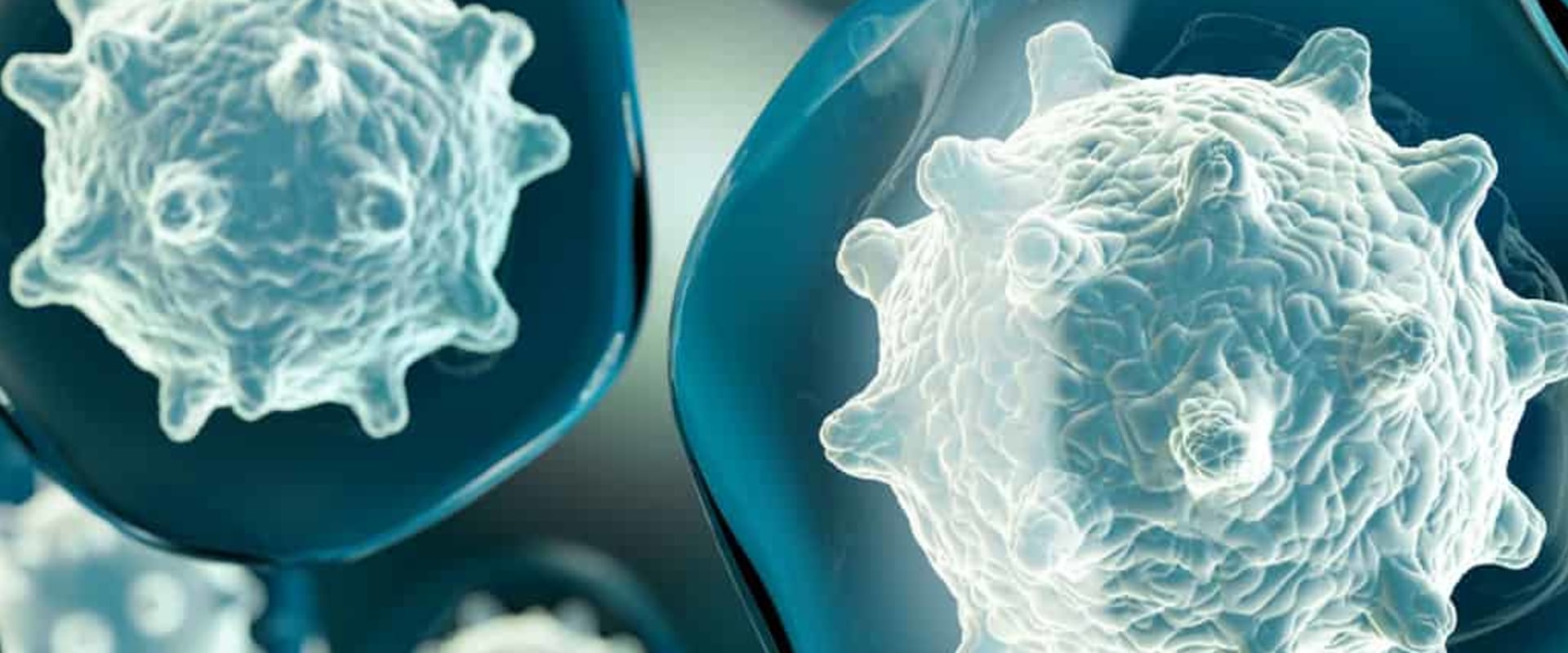 The Power of Probiotics in Reversing Gum Disease