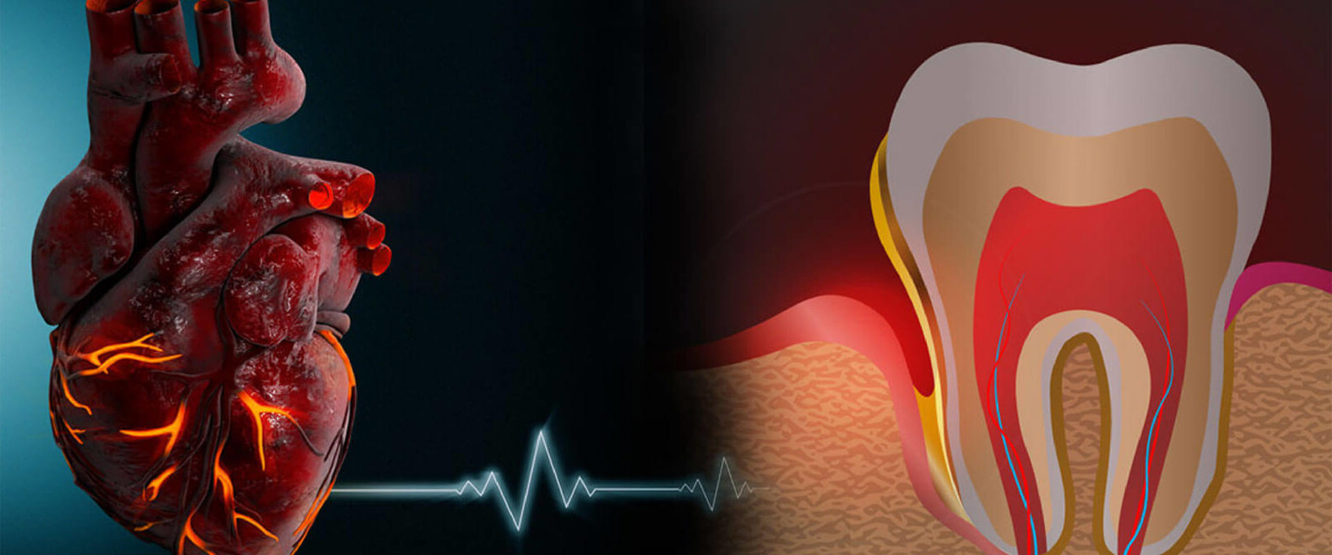 The Surprising Connection Between Heart Health and Reversing Gum Disease: An Expert's Perspective